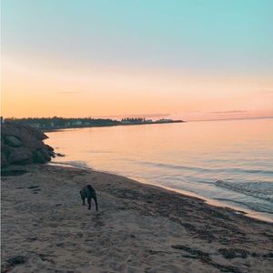 Meet your Posher, Madi